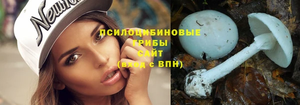 2c-b Касимов