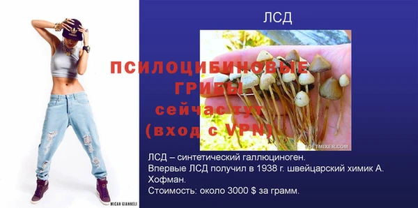 2c-b Касимов