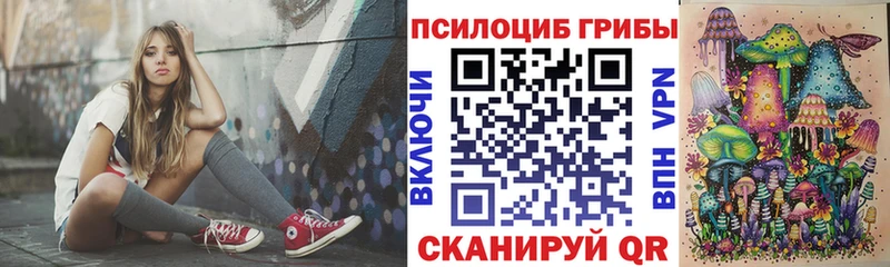 Псилоцибиновые грибы Psilocybe  Северск 